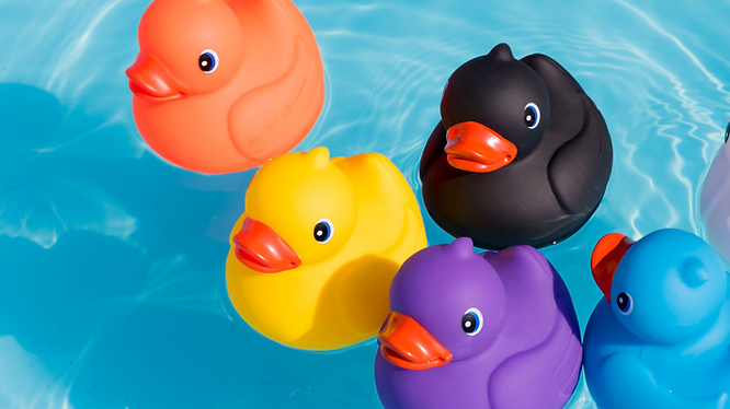 Duck