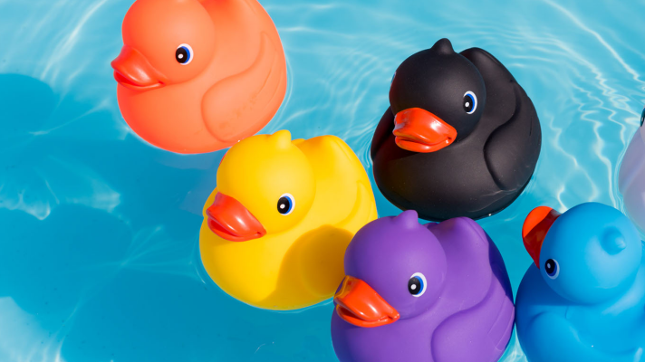 what are financial ducks